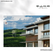 际大师手笔半山林畔的建建设想采用新亚